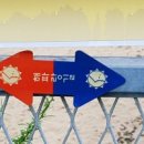 관동팔경 녹색경관길 이미지