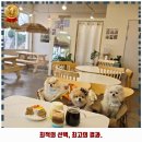 불암농장 | 대저1동 카페 해피삐데이 추천 1순위 가격 주차 예약 리뷰 알아봐요