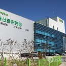 청주축산물공판장