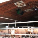 정종호 축사 이미지