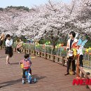 금호동 장미연립아파트 이미지