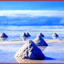 빛과 소금 이미지