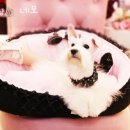 네모 - 세종특별자치시 | 네모