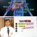 간에 좋은 음식, 간이 안좋을때를 대비해요 이미지