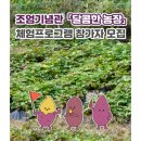 조엄농장 이미지