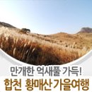 [경남/합천] 억새풀 가득한 합천 황매산으로 떠나는 가을여행! 이미지