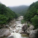 삼화사철조노사나불좌상 이미지