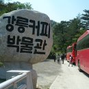 모정의 바다 이미지