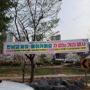 율하유적전시관 광장앞 | 김해 장유 율하 벚꽃축제 율하천 벚꽃 개화 상황