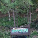 원동자연 휴양림 Daum카페