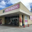 stadium of dogs 이미지