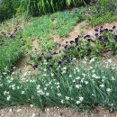 해나비농장 이미지