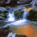 한 웅큼의 빛 이미지