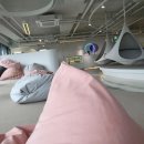 산방산호텔 이미지