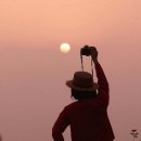 태양을향하여 이미지