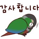 정천초 이미지
