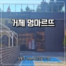 멍마르뜨 | 거제 멍마르뜨 애견카페 방문 후기