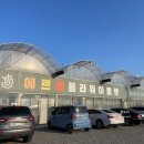 동탄·오산 근처 플랜테리어 성지! 대형 식물 쇼핑 명소 &#39;에르베플라워&#39; (용인 남사 화훼단지 방문 후기)