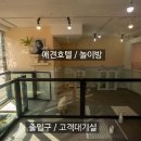 꼬마애견샵 이미지