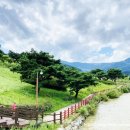 알프스랜드 이미지