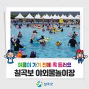 칠곡보 야외물놀이장 이미지