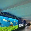 스카렛 | LA&amp;칸쿤 13박15일 신혼여행-6일차/칸쿤공항/스칼렛아르떼/스윔업가든/메르카도 데 산 후안/타 시도