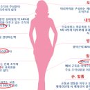 부여동물약국 이미지