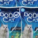 도도캣 이미지