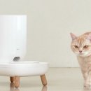 디자인두잇 이미지