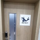 세남자물고기