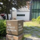 미유풀빌라앤스파펜션 | 포천 펜션 추천 포레스트 풀빌라앤스파 C1 내돈내산 후기