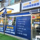 도그마캣작전