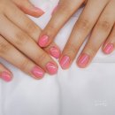 슈어네일