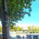 2층화장실 | 평일엔 이렇게 한적해요! 스타벅스 마로니에공원점 화장실 정보와 1층, 2층 솔직 후기