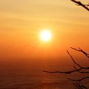 향일암 - 1420 | 향일암