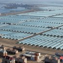 천년 농장 이미지