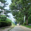 평화철강 | 국립 중앙 박물관 1 ㅡ 놀랍다.