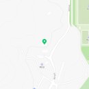 포레스트 하우스 애견유치원 이미지
