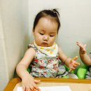 해뜨는도장 이미지