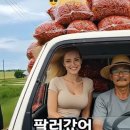 ♧운명과 숙명 // 🍷VIP는 누구인가? // ♣ 말 한 마디로 천냥 빚을 갚는다 ♣// 이미지