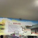 개미산곰장어 이미지