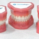 더봄치과교정과치과의원 이미지