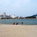 송도해수욕장 Daum카페