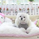 꼬지하우스 이미지