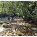 명주군왕릉 이미지