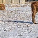 입동목장 이미지