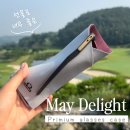 센스안경 | 메이딜라이트 안경케이스 실사용 후기 예쁜데 실용성까지 센스있는 답례품 선물 찾는다면 바로 이거!