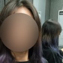 양양미장원 네이버블로그