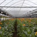 부안농장 이미지