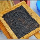 에덴펜션 이미지